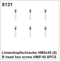 Linsenkopfschrauben HM5x45 (6)