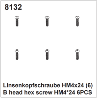 Linsenkopfschrauben HM4x24 (6)