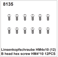 Linsenkopfschrauben HM4x12 (12)