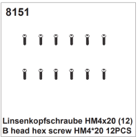 Linsenkopfschrauben HM4x20 (12)