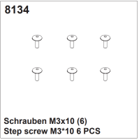 Schrauben M3x10 (6)