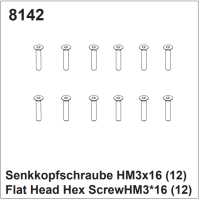 Senkkopfschrauben HM3x16 (12)