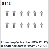 Linsenkopfschrauben HM3x12 (12)