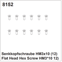 Senkkopfschrauben HM3x10 (12)