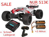 DF Models 3146 Z-10 Competition Truggy BL - brushless